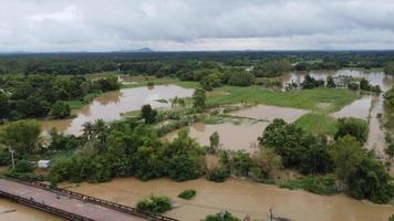 översvämning i thailand foto