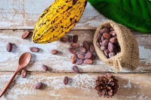 kakaopod och kakaobönor foto