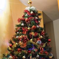 skön jul tall träd, med jul lampor och dekorationer i ett italiensk hus under de högtider av 2021 foto