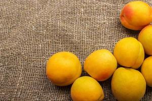 färsk aprikoser på säckväv säck på tabell foto