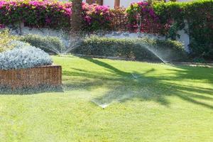 sprinkler i trädgård vattning de gräsmatta. automatisk vattning gräsmattor foto