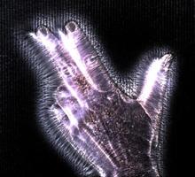3D-illustration av en glödande mänsklig kvinnlig hand med en kirlian aura som visar olika symboler foto