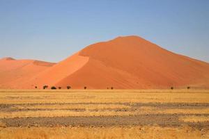 öknen av Sossusvlei i Namibia foto