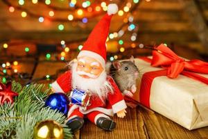 Lycklig råtta på med santa claus och gåva på trä- bakgrund flerfärgad bokeh foto