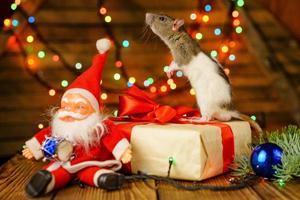 Lycklig råtta på med santa claus och gåva på trä- bakgrund flerfärgad bokeh foto