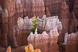 vackert landskap i Bryce Canyon med magnifik stenforma foto