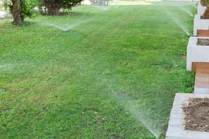 sprinkler i trädgård vattning de gräsmatta. automatisk vattning gräsmattor begrepp foto