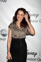 los angeles - jan 10 - andie mcdowell ankommer på de ABC tca fest vinter- 2012 på langham Huntington hotell på januari 10, 2012 i pasadena, ca foto