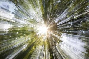 solstrålar i skogens vårtid, abstrakt färgglad bakgrund foto