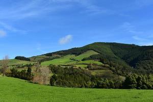 gräs betesmarker och fält på sao miguel i de azorerna foto