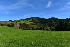 grön gräs fält och betesmarker med blå himmel på sao miguel foto