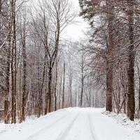 Land väg efter snöfall i skog i vinter- foto