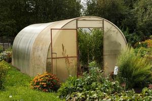 växthus för tomater i de trädgård. öppen dörr på de växthus. foto