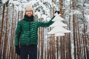 snygg orakad hane i glasögon, bär varma vinterkläder, håller i vit gran, har gott humör, är i väntan på nytt år och jul, poserar mot vinterhöga träd foto