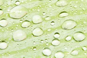 vatten pärlor och vatten droppar fast på grön löv med vit hud på de blad yta. foto