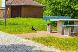 turkos parkera bänk i natur på resten sluta i Tyskland. foto