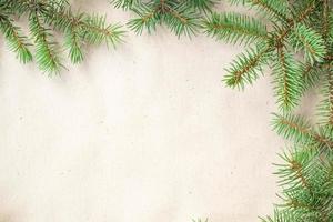 gran grenar gräns på ljus rustik bakgrund, Bra för jul bakgrund foto
