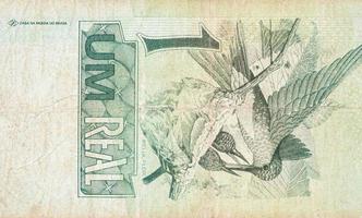 beija flor kolibri eller colibri avbildad på gammal ett verklig notera brasiliansk pengar foto