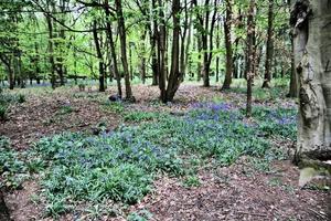 en se av de shropshire landsbygden foto