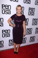 los angeles - nov 11 - amy poehler på de penna Centrum USA 24:e årlig litterär utmärkelser på de beverly wilshire hotell på november 11, 2014 i beverly kullar, ca foto