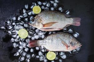 färska tilapia fiskar på is med citroner foto