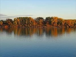 höstträd reflekterade i vatten foto