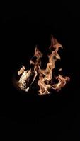 brinnande brand på svart bakgrund och porträtt läge 02 foto