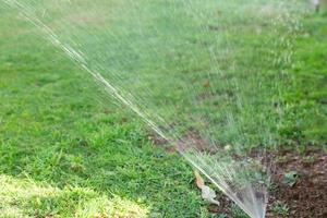 sprinkler i trädgård vattning de gräsmatta. automatisk vattning gräsmattor begrepp foto