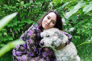 porträtt av skön ung kvinna med söder ryska herde hund på en bakgrund av blomning lila buskar. foto