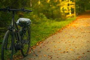 cykel rida i höst skog i solig värma dag foto