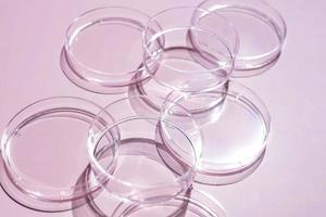 tömma glas labb petri maträtt för vetenskaplig forskning i rosa bakgrund. foto