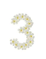 tal tre tillverkad av tropisk blommor frangipani isolerat på vit foto