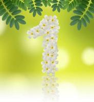 tal ett tillverkad av tropisk blommor frangipani på naturlig bakgrund foto