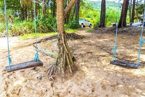 gunga på träd på naithon strand bukt panorama phuket thailand. foto