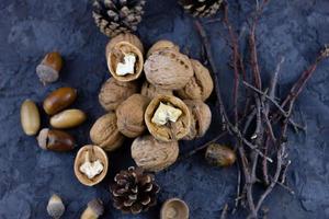en knippa av valnötter med ekollon, redo för de vinter- säsong. foto