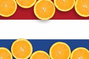 nederländerna flagga i citrus- frukt skivor horisontell ram foto