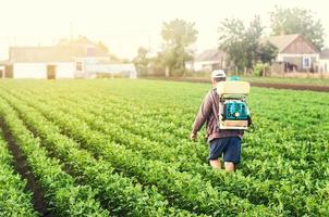 en jordbrukare med en spruta promenader genom de potatis plantage. behandling av de bruka fält mot insekt skadedjur och svamp infektioner. använda sig av kemikalier i lantbruk. lantbruk och jordbruksnäringen foto