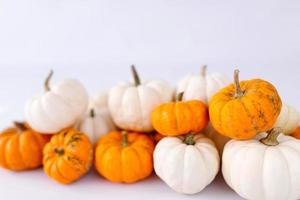 höst dekoration på vit med kopia Plats. falla, halloween, tacksägelse foto