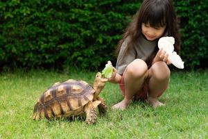 söt asiatisk flicka Sammanträde och matning sköldpaddor med grönsaker på grön gräs. begrepp sköldpadda centrokelys sulcata, sällskapsdjur, Kära vän. barn matning djur foto