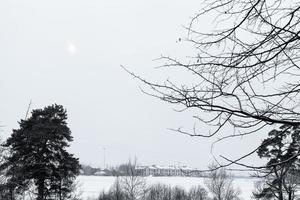 grå mulen himmel över snö fält i vinter- foto