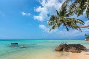 kokosnöt träd hängande över stranden och turkos havet