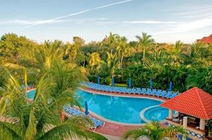 tropisk resort pool