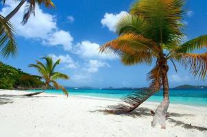 vacker tropisk strand vid Karibien