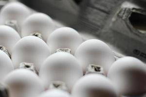 ägg vitt i de äggstock låda är protein livsmedel. foto
