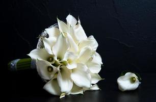 flores blancas en fondo negro foto