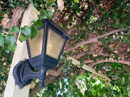 en skön gammaldags klassisk lampa posta i en växt buske med grön löv foto