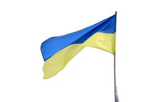 ukrainska flagga fladdrande i vind isolerat på vit bakgrund foto