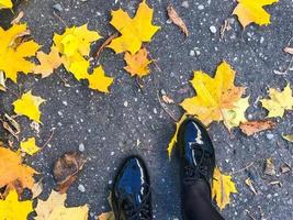 fötter i skön svart läder slät glansig skor på gul och röd, brun färgad naturlig höst löv på de trottoar foto