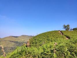 bergdal under soluppgång. naturligt sommarlandskap foto