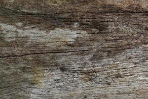 gammalt trä mönster textur foto